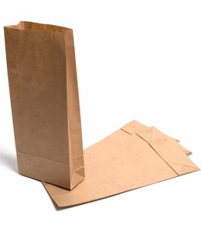 bolsas kraft sin asa