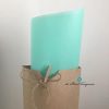 Papel de seda verde menta - 10 u papel de seda mint