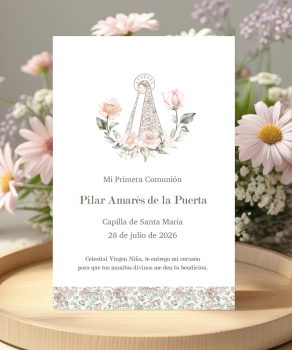 Colección Virgencita Pilar